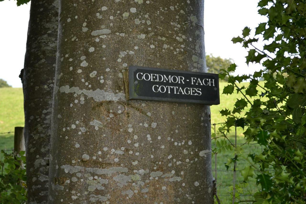 Coedmor Lampeter
