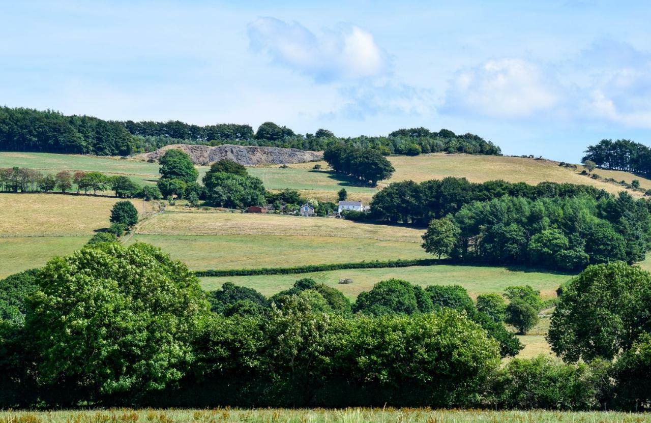 Coedmor * Lampeter